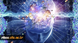 به مناسبت هفته آگاهی از مغز، دکتر تلخابی در رابطه با مغز میگوید(ویژه دانش آموزان)