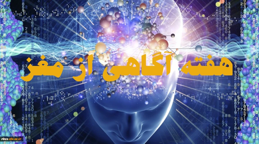 به مناسبت هفته آگاهی از مغز، دکتر تلخابی در رابطه با مغز میگوید(ویژه دانش آموزان)